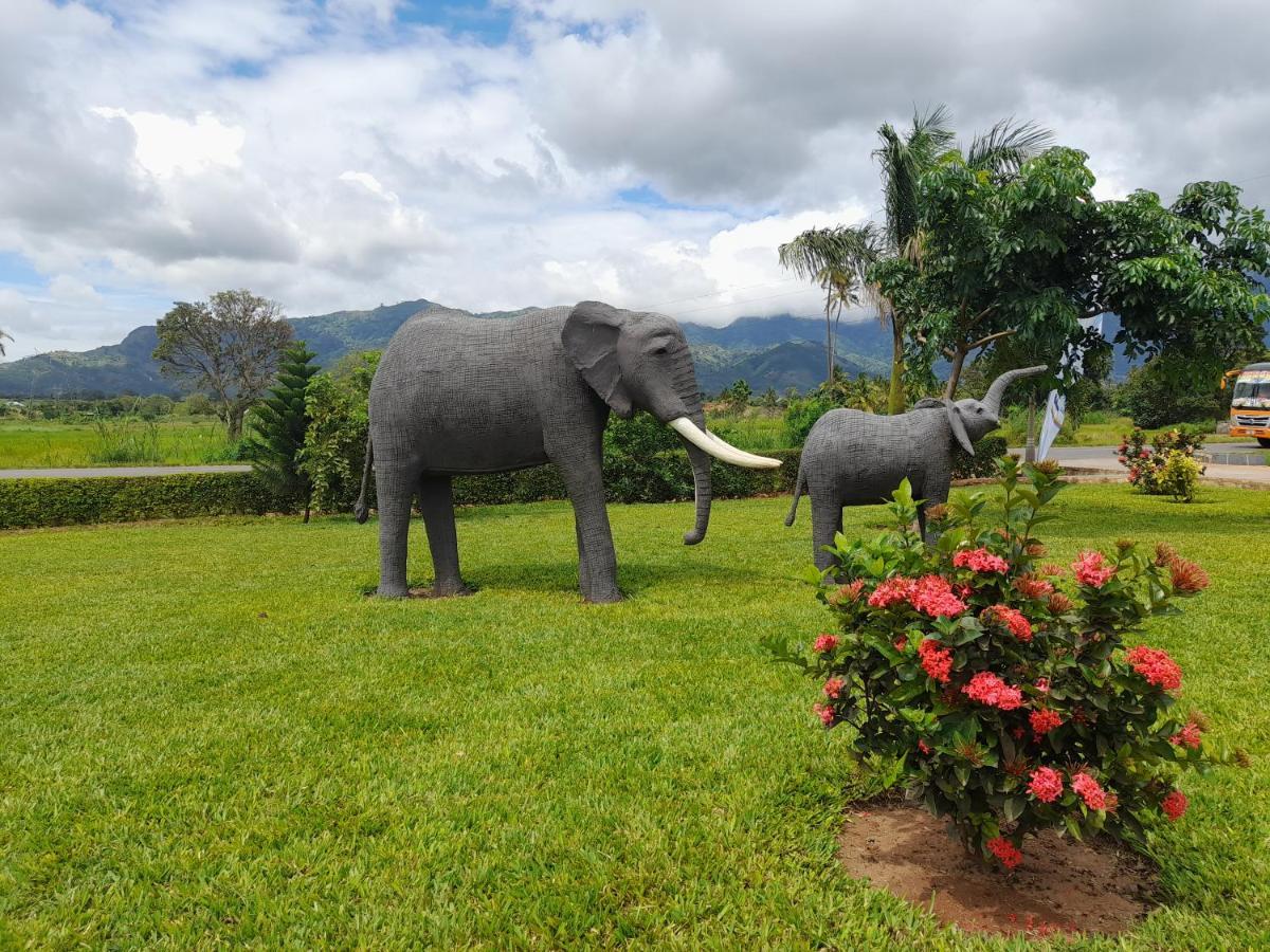 Cate Hotel Morogoro Екстер'єр фото